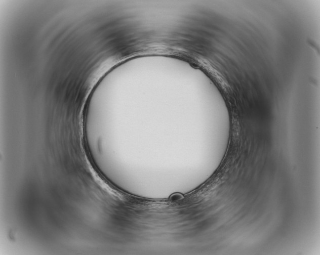 X0000096141479200802081337