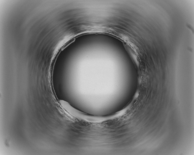 X0000096141480200802081337