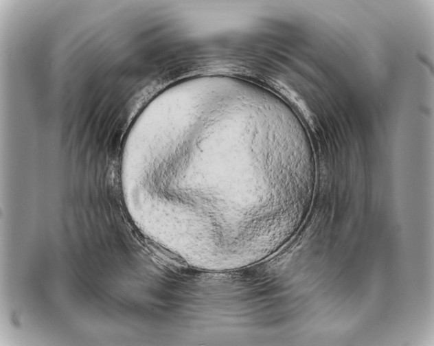 X0000096141481200802081337