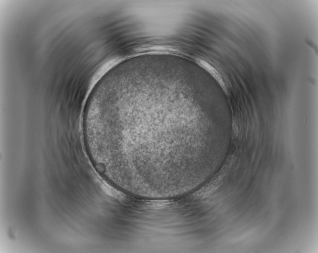 X0000096141482200802081337