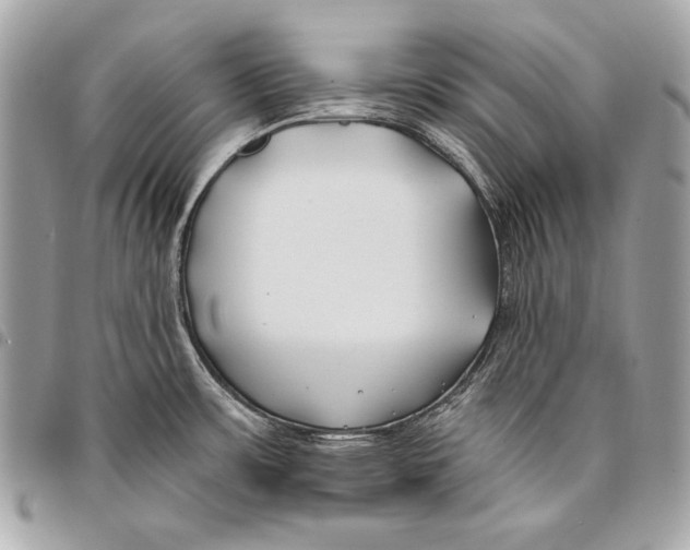 X0000096141483200802081337