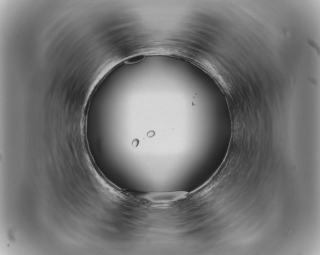 X0000096141484200802081337