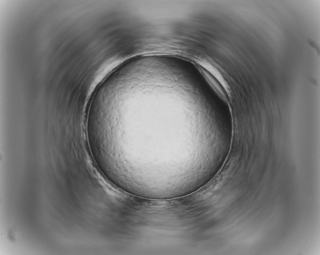 X0000096141485200802081337