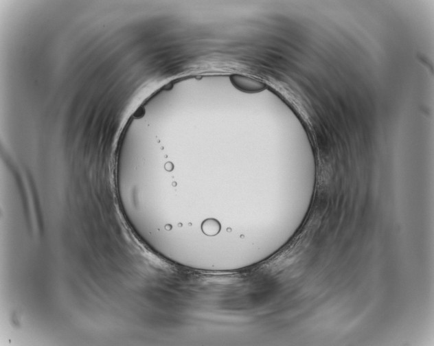 X0000096141486200802081337
