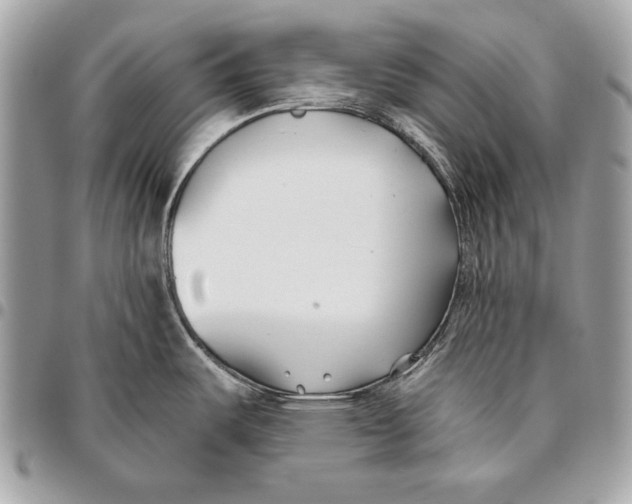 X0000096141487200802081337