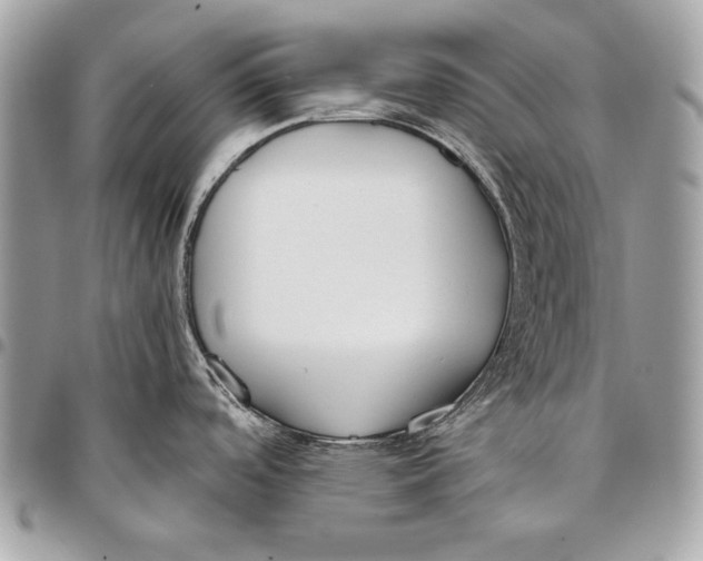 X0000096141488200802081337