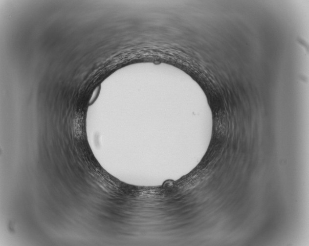 X0000096141490200802081336