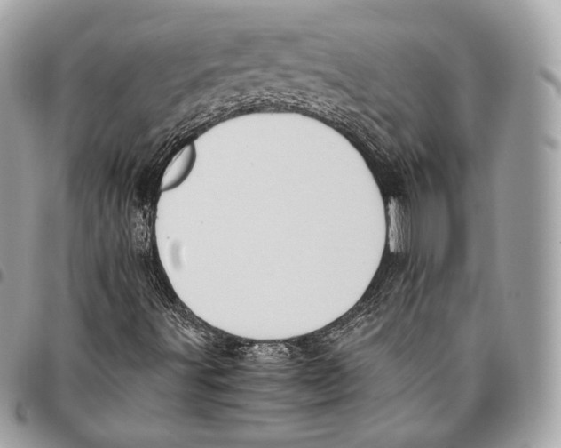 X0000096141491200802081336