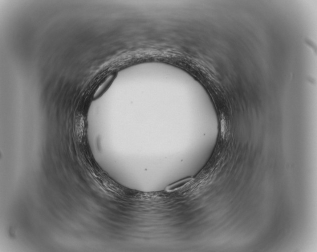 X0000096141492200802081336