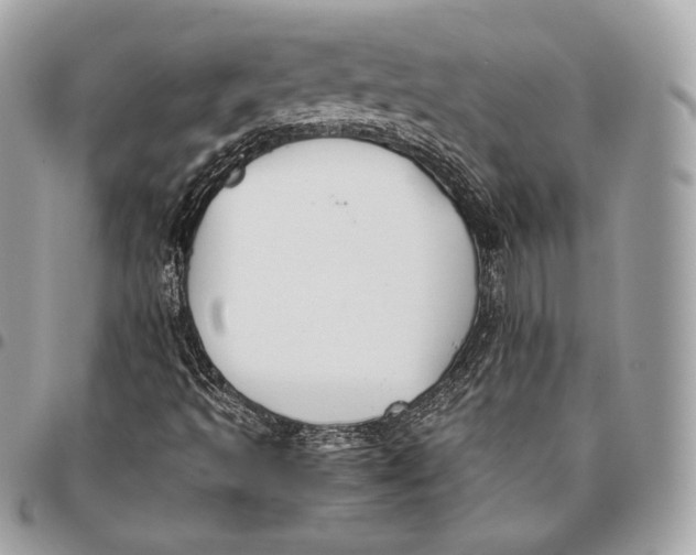 X0000096141493200802081336