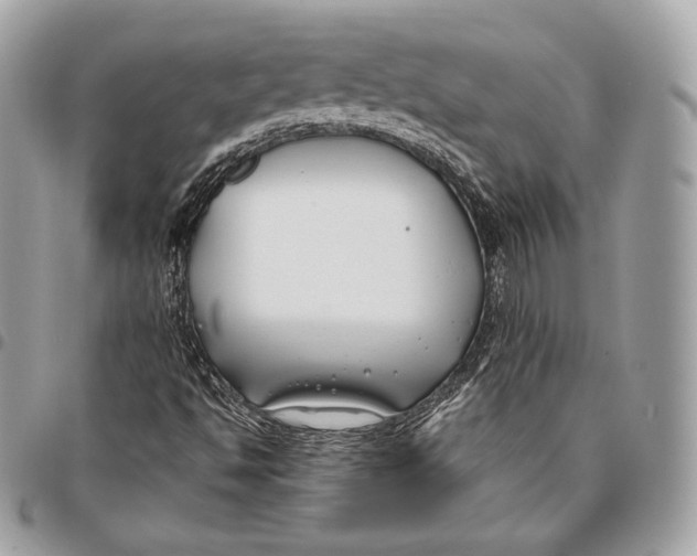 X0000096141494200802081336