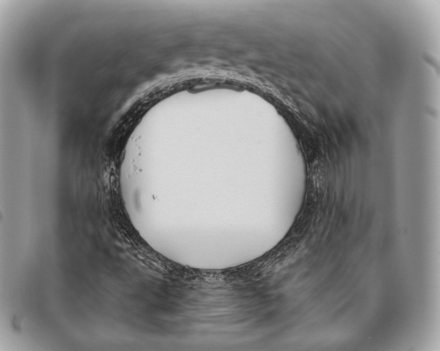X0000096141495200802081336