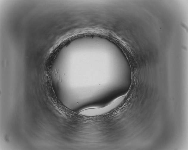 X0000096141496200802081336