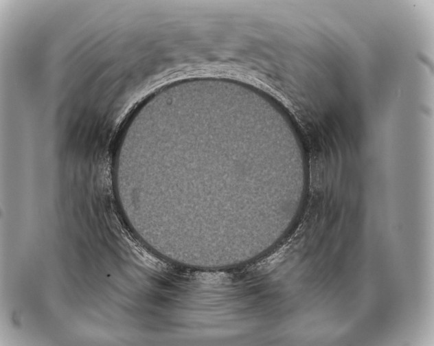 X0000096141498200802081336