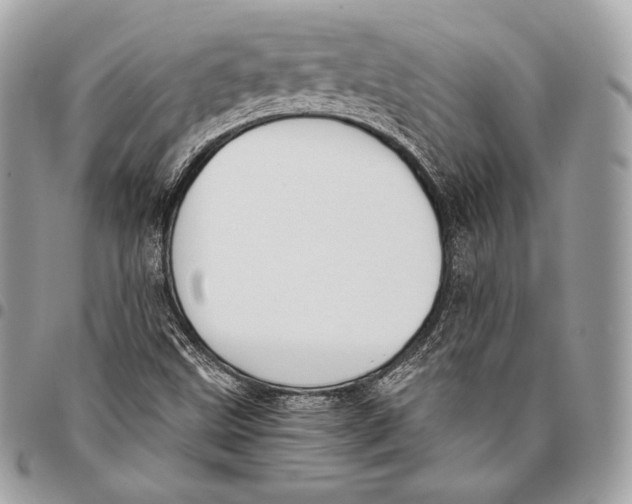 X0000096141499200802081336