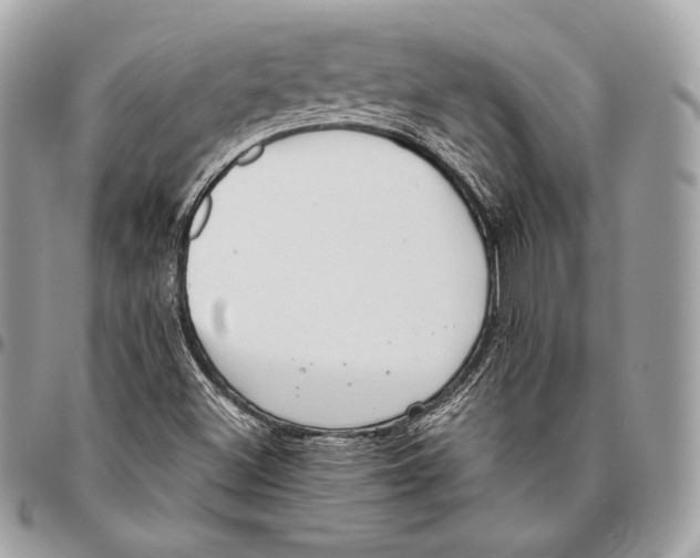 X0000096141500200802081336