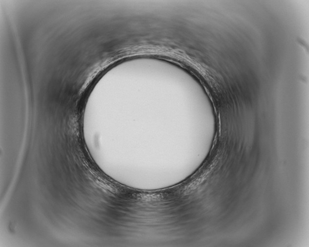 X0000096141501200802081336