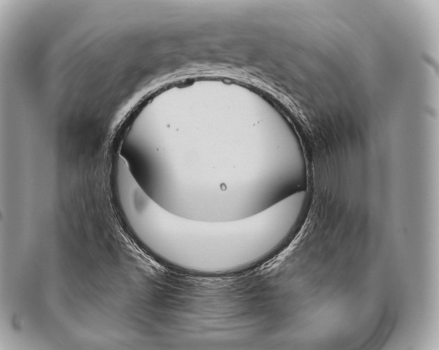 X0000096141502200802081336