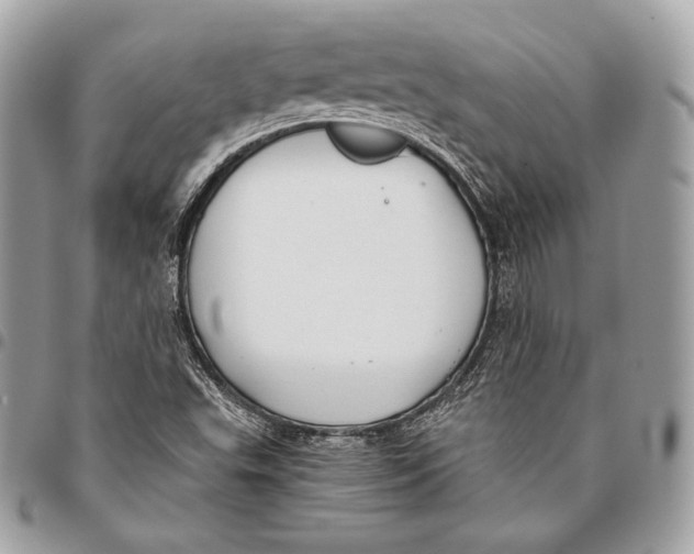 X0000096141503200802081336