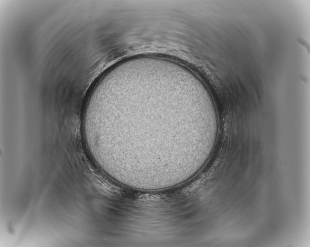 X0000096141505200802081336