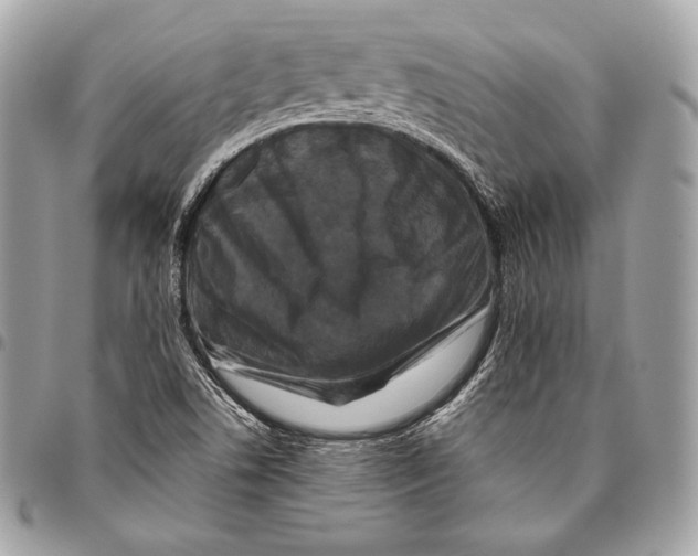 X0000096141506200802081336