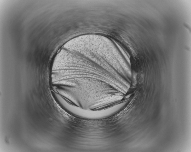X0000096141508200802081336