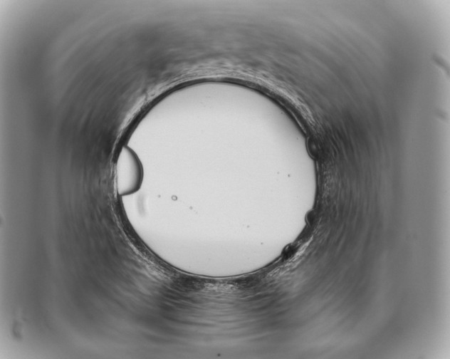 X0000096141509200802081336