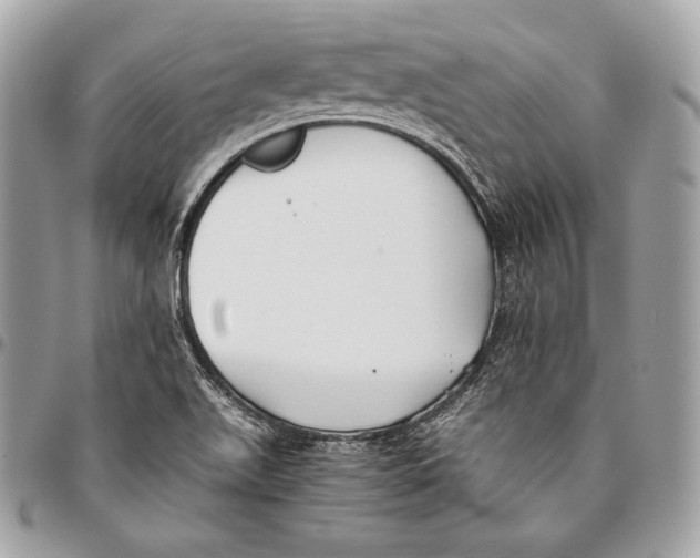 X0000096141511200802081336