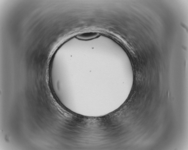 X0000096141512200802081336