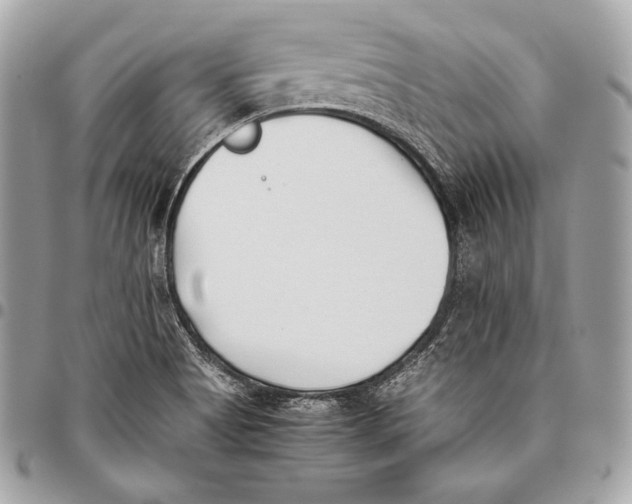 X0000096141513200802081336