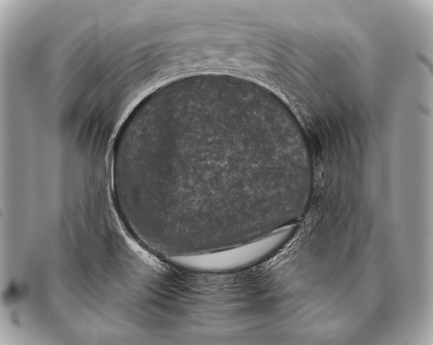 X0000096141515200802081336