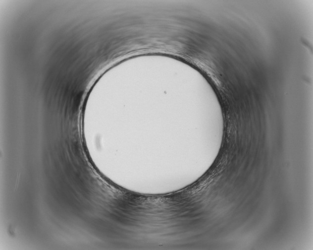 X0000096141516200802081336