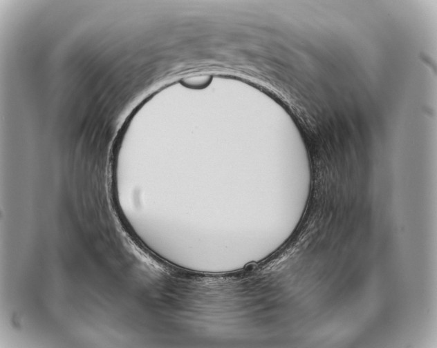 X0000096141518200802081336