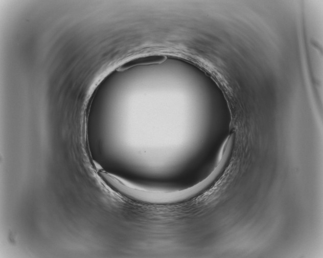 X0000096141520200802081336