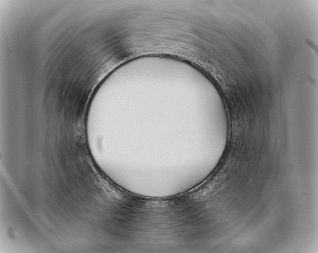 X0000096141521200802081336