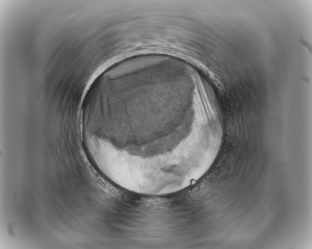 X0000096141522200802081336