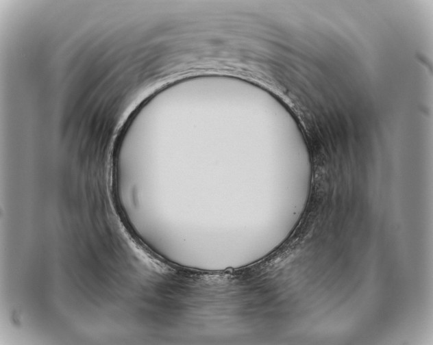 X0000096141523200802081336