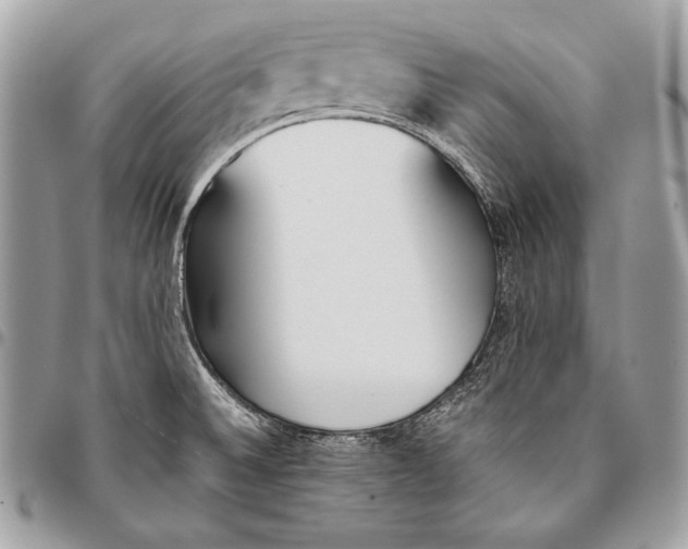 X0000096141524200802081336