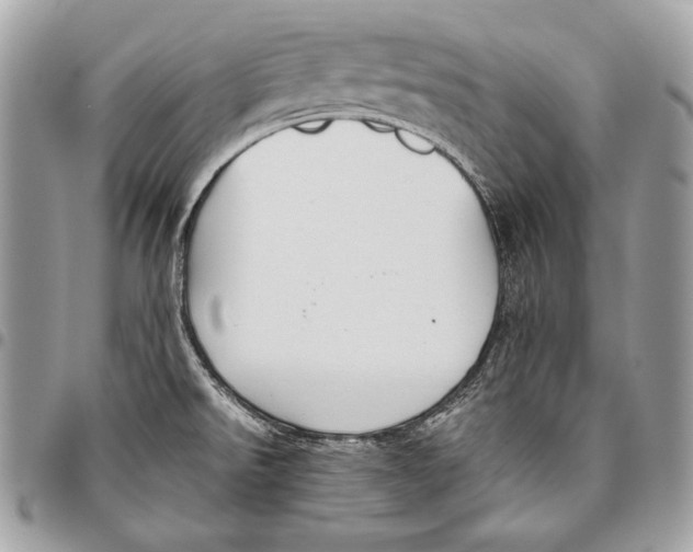 X0000096141526200802081336