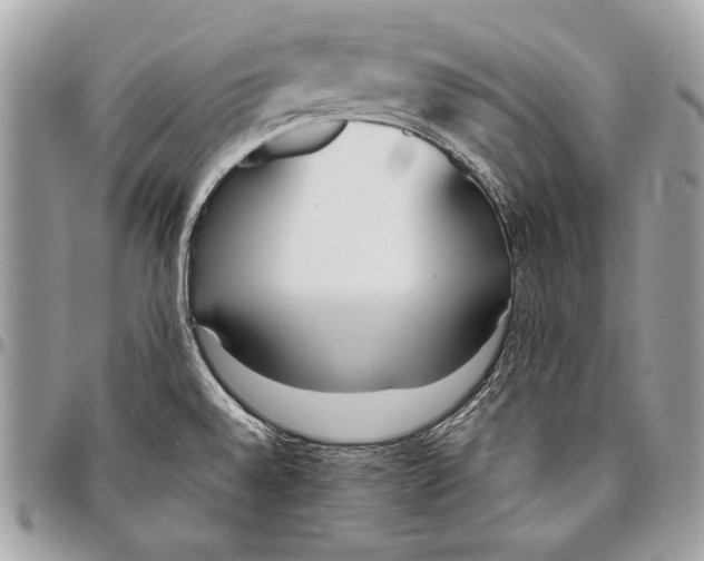 X0000096141528200802081336