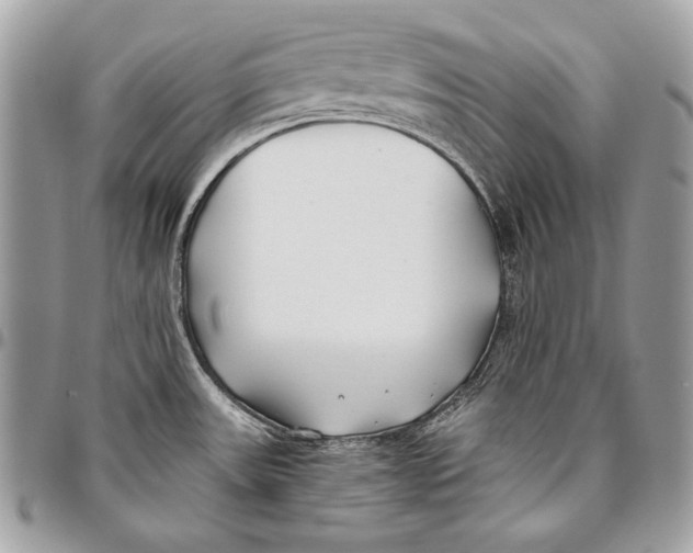 X0000096141531200802081336