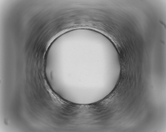 X0000096141534200802081336
