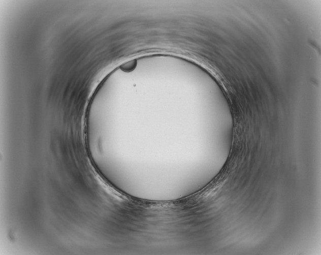 X0000096141535200802081337