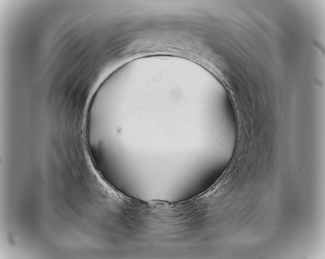 X0000096141536200802081337