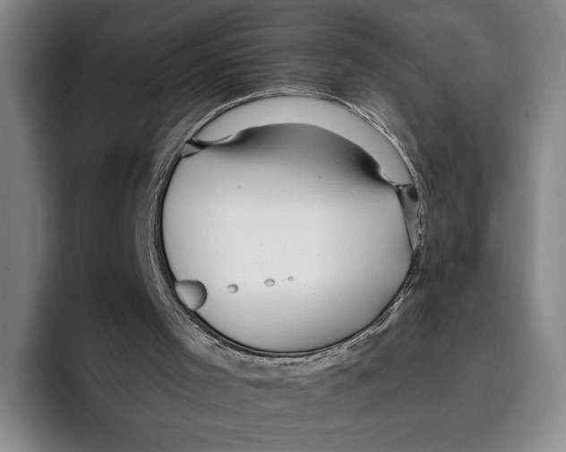 X0000096140001200802151343