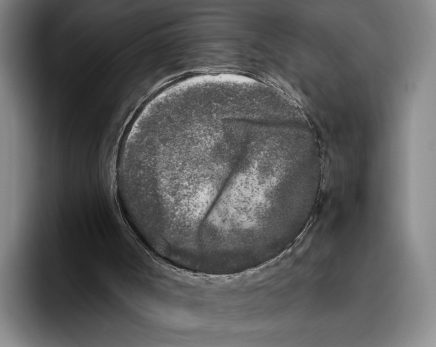 X0000096140002200802151343