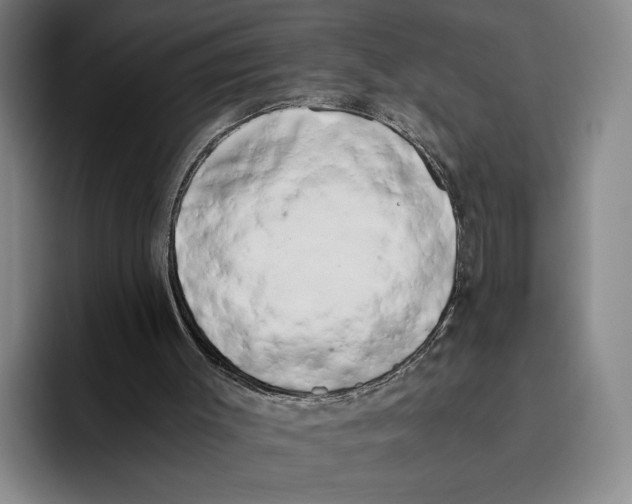 X0000096140003200802151343