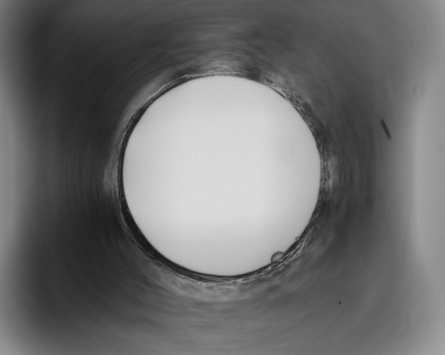 X0000096140004200802151343