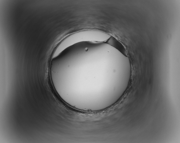 X0000096140005200802151343