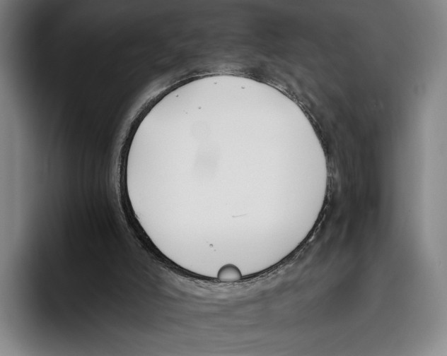 X0000096140006200802151343
